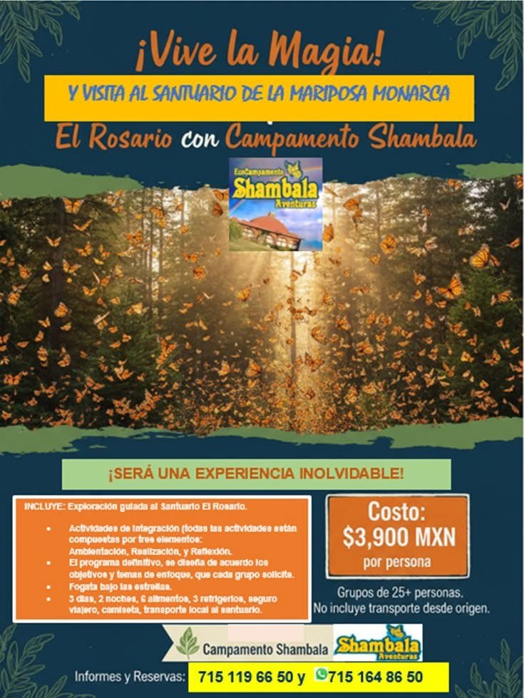 Promoción de visita a la Mariposa Monarca con Campamento Shambala